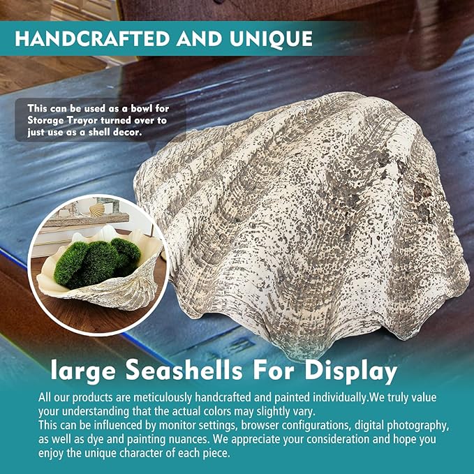 Large Mud Gray Clam Shells Decorative Bowl,Weathered style ClamShell Bowl Beach Decorations for Home Coastal Beach Decor Decoration Storage Bowls & Home Office Nautical Themed Party Decor -10.2"-1PC-Ruum Studio Home
