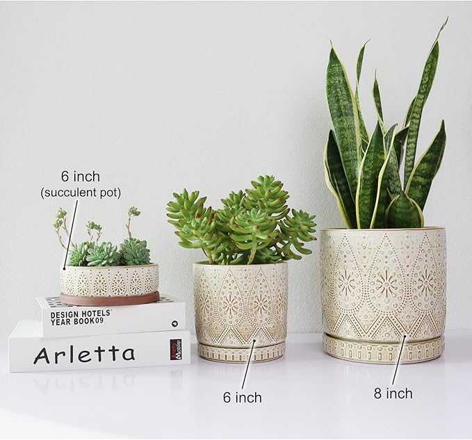 8 Inch Indoor Plant Pot with Drainage Holes and Saucers, Ceramic Planter for Plants, Succulent Orchid Flower Pots-Ruum Studio Home