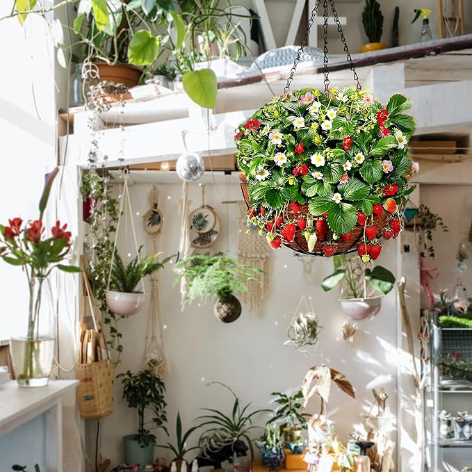 Hanging Baskets for Plants Outdoor(12 inch 4 Pack)- Coconut Coir Hanging Planters Outdoor,Metal Wire Baskets with Coco Liner, Hanging Pots for Plants Indoor, Flower Pots for Railings-Ruum Studio Home