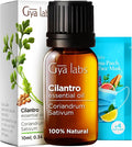 Gya Labs Cilantro Essential Oil for Diffusers - 0.34 Fl Oz - 100% Natural Cilantro Oil for for Skin, Massage, Aromatherapy & Candle Making Scent-Ruum Studio Home