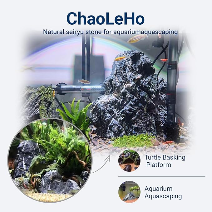 Seiryu Stone Natural Stone Rocks Fish Tank Decor Rocks for Aquariums Landscaping Model Tank Decoration Aquarium Miniature -20Lb (2-8 inch)-Ruum Studio Home