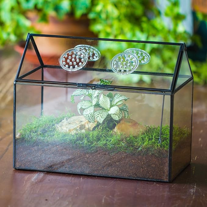 NCYP Glass Terrarium with Lid and Air Holes for Snails, Succulents Plants, Small Cactus - 10.2" x 5.9" x 8.2" House Shape Geometric Clear Box, Indoor Tabletop Decor Black (Terrarium Only)-Ruum Studio Home