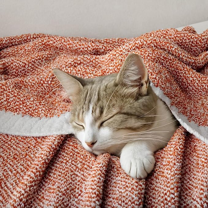 MIULEE Fall Burnt Orange Super Soft Throw Blanket for Bed, Twin Size Cozy Fluffy Warm Blankets Knit Blankets for Couch, Sofa, Chair, Living Room, Camping, Picnic, 60 x 80 inch-Ruum Studio Home