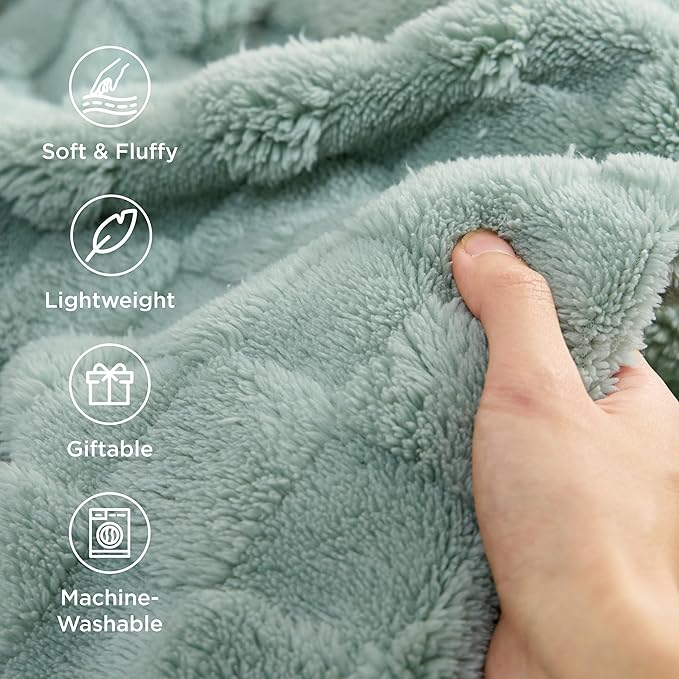 Bedsure GentleSoft Twin Blanket for Bed - Super Soft Cozy Blankets for Women Men Girls, Cute Fuzzy Fleece Throws for Bedroom Couch, Sage Green, 60x80 Inches-Ruum Studio Home