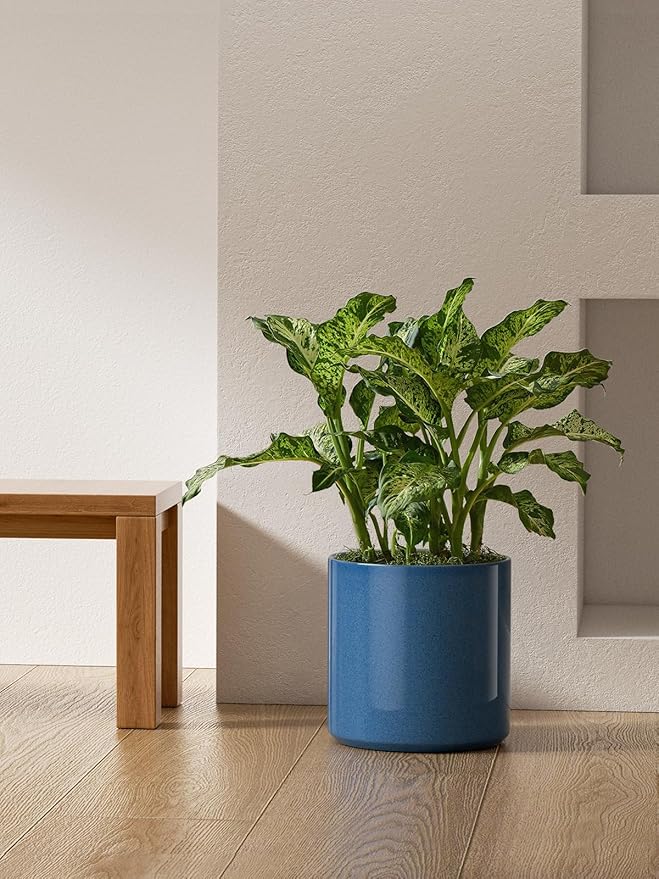 LE TAUCI 12 Inch Pots for Plants, Ceramic Large Plant Pot for Indoor Plants, Mid-Century Modern Flower Planter Pots with Drainage Hole and Removable Plug, Round Planter Pot, Reactive Glaze Blue-Ruum Studio Home