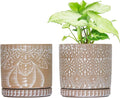 6 Inch Indoor Plant Pots with Drainage Holes and Saucers, Ceramic Planter for Plants, Flower Pot - Set of 2-Ruum Studio Home