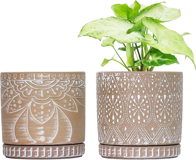 6 Inch Indoor Plant Pots with Drainage Holes and Saucers, Ceramic Planter for Plants, Flower Pot - Set of 2-Ruum Studio Home