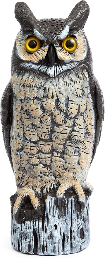 Dalen Large Fake Owl Decoy to Scare Birds Away - Garden Scarecrow Provides Natural Pest Control - 16" Tall - Great Horned Owl-Ruum Studio Home