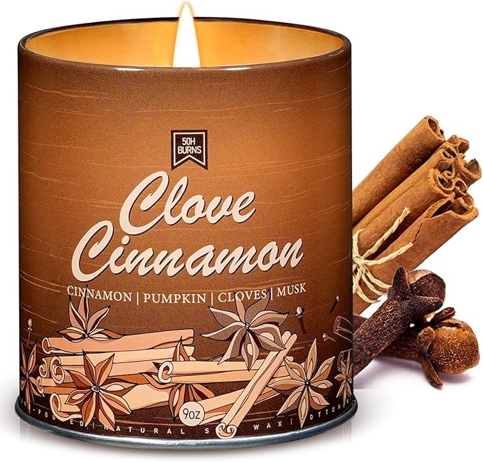 Cinnamon Fall Candles for Home Scented Natural Soy Wax Non Toxic Birthday Candle Scented Candles 40 Hours Bruning 9oz Aromatherapy Candle Gifts for Women Halloween Birthday Thanksgiving-Ruum Studio Home