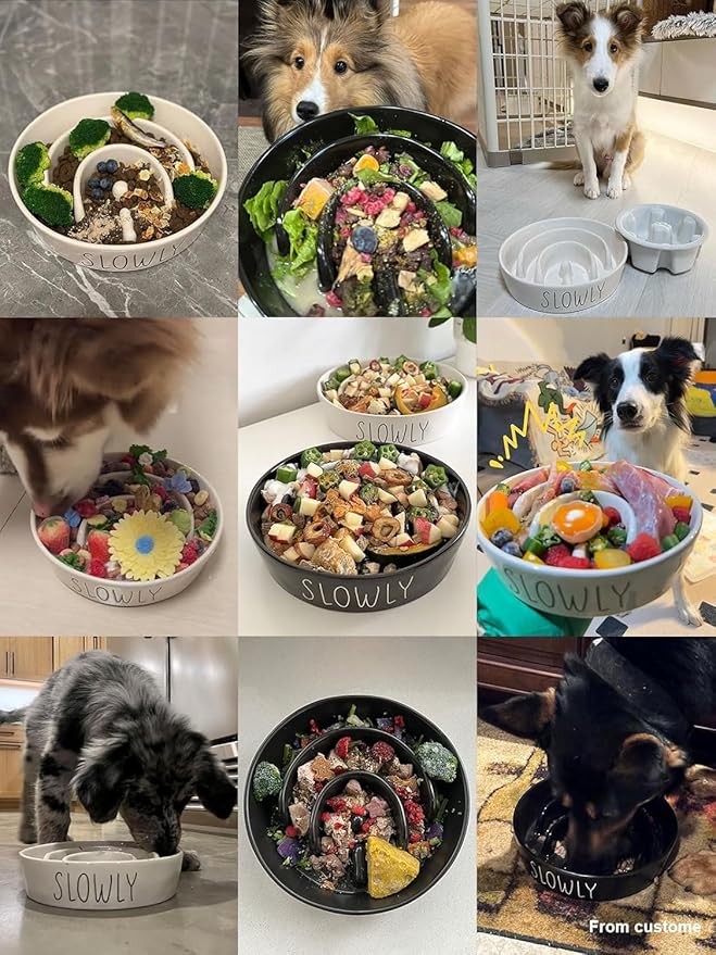 Ceramic Slow Feeder Dog Bowls Elevated, 3 Cups Raised Dog Bowl with Wooden Stand for Medium Large Breed to Slow Down Eating, Puzzle Food Bowl,Black-Ruum Studio Home