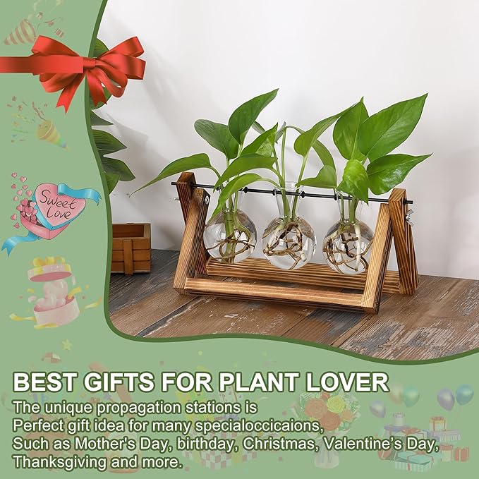 YIBOT Plants Propagation Stations,Desk Plant Terrarium with Retro Wooden Stand,Plant Lover Gifts for Women for Hydroponics Plants Home Garden Wedding Decor(3 Bulb Vase)-Ruum Studio Home