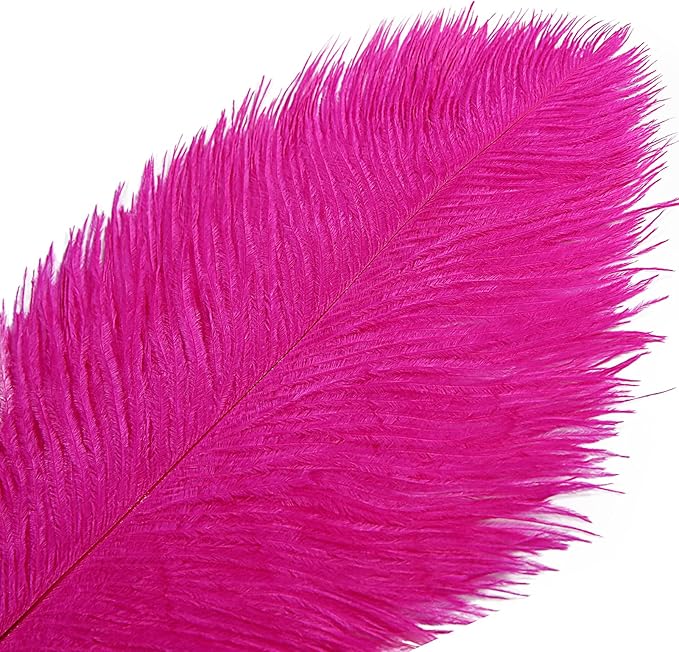 THARAHT Hot Pink Ostrich Feathers 12pcs Large Natural Bulk 12-14Inch 30cm-35cm for Wedding Party Centerpieces Easter Gatsbi and Home Decoration Feathers-Ruum Studio Home