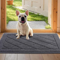 JSEI Dirt Trapper Door Mat 24"x36", Non-Slip Washable Entryway Mats, Dog Door Mat, Stain Resistant and Absorbent Floor Mats, Low Profile Welcome Mat for Front Back Door, Dark Grey-Ruum Studio Home