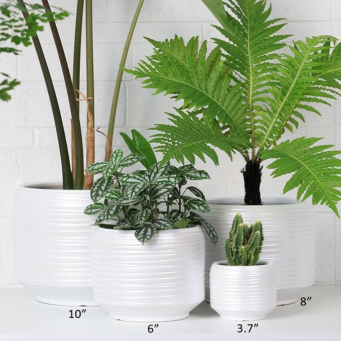 8 Inch + 6 Inch Ceramic Plant Pots Indoor with Drainage – Flower Pot Set, Decorative Indoor Planters for House Plants and Garden Use-Ruum Studio Home