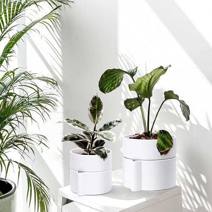 Phoenix Vine 6.5 Inch Self-Watering Planter Pot with Terracotta Insert, Deep Water Reservoir, and Ceramic-Alike BPA-Free Plastic Pot for Plant, Modern Planter for Houseplants, White, 53-A-S-1-Ruum Studio Home