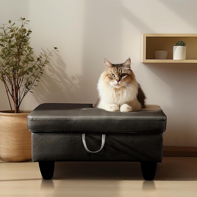 Ottoman Rectangular Storage Ottoman Bench, Faux Leather Footrest, Coffee Table, Stool Footstool with Hinged Lid for Living Room, Bedroom, Entryway, Black, 28.5"x19"x17.5"-Ruum Studio Home