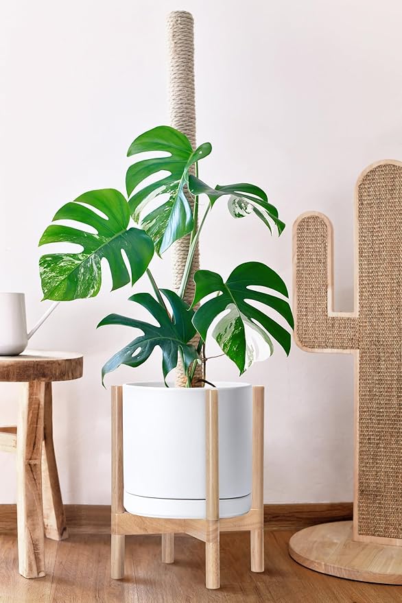 D'vine Dev Ceramic Planter with Natural Stand - 12 Inch Modern Round Flower Pot with Wood Planter Holder, White, 55-B-J-1-Ruum Studio Home