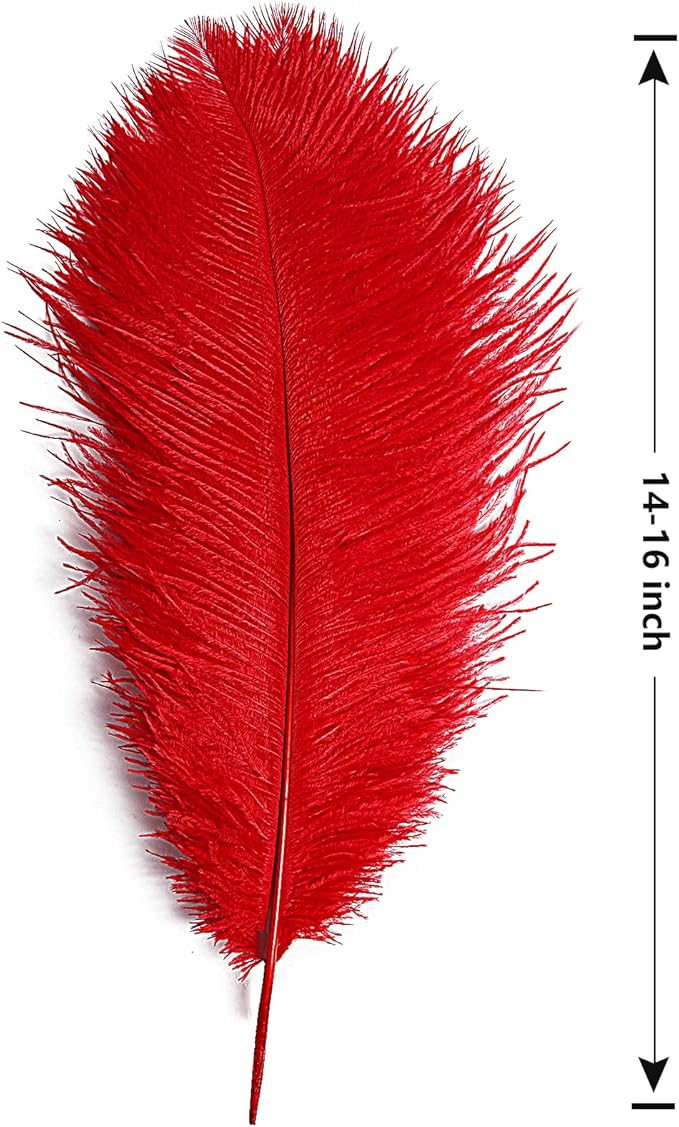 THARAHT Red Ostrich Feathers 12pcs Large Natural Bulk 14-16Inch 35cm-40cm for Wedding Party Centerpieces Halloween and Home Decoration Feathers-Ruum Studio Home