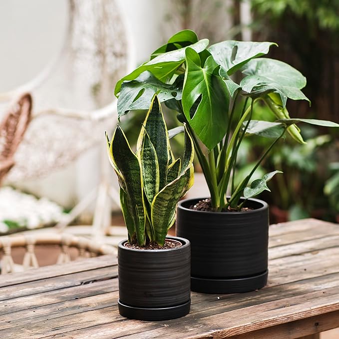 6 + 8 Inch Plant Pots, Ceramic Planter Pot with Drainage Hole & Saucer, Indoor/Outdoor Cylinder Round Planter Pot, Matte Black-Ruum Studio Home