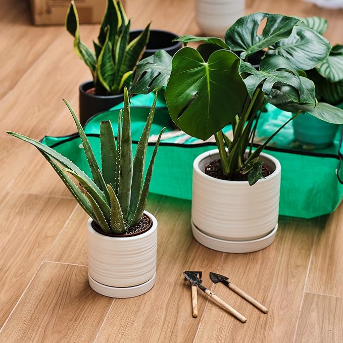 6 + 8 Inch Plant Pots, Ceramic Planter Pot with Drainage Hole & Saucer, Indoor/Outdoor Cylinder Round Planter Pot, Matte White-Ruum Studio Home