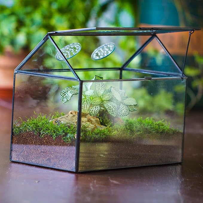 NCYP Glass Terrarium with Lid and Air Holes for Snails, Succulents Plants, Small Cactus - 10.2" x 5.9" x 8.2" House Shape Geometric Clear Box, Indoor Tabletop Decor Black (Terrarium Only)-Ruum Studio Home
