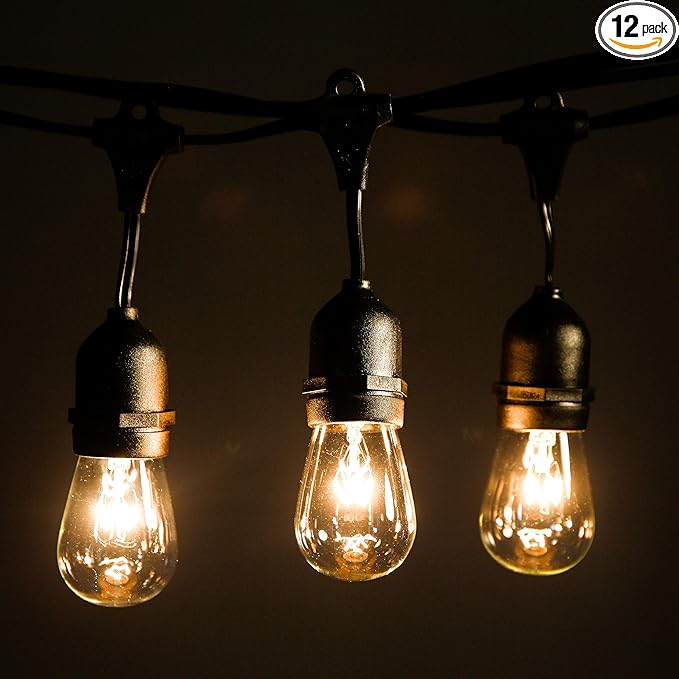 Hometown Evolution, Inc. 24 Foot E26 Outdoor Commercial String Lights with Suspended Socket for Weatherproof Heavy Duty Vintage Outside Lighting - Set of 12 S14 Clear Bulbs-Ruum Studio Home