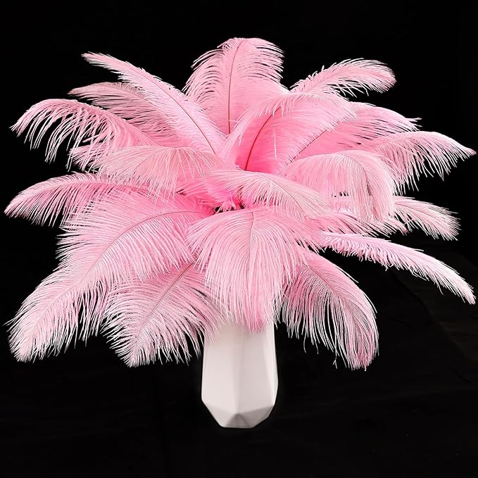 THARAHT Pink Ostrich Feathers 24pcs Natural Bulk 10-12Inch 25cm-30cm for Crafts Wedding Party Centerpieces Easter Gatsbi and Home Decoration Feathers-Ruum Studio Home