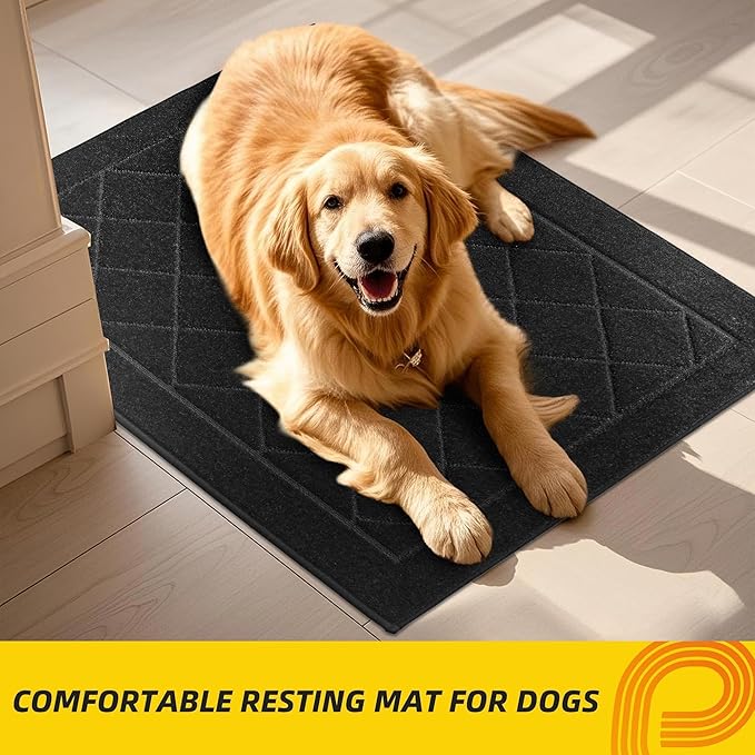 JSEI Dirt Trapper Door Mat 24"x36", Non-Slip Washable Entryway Mats, Dog Door Mat, Stain Resistant and Absorbent Floor Mats, Low Profile Welcome Mat for Front Back Door, Black-Ruum Studio Home