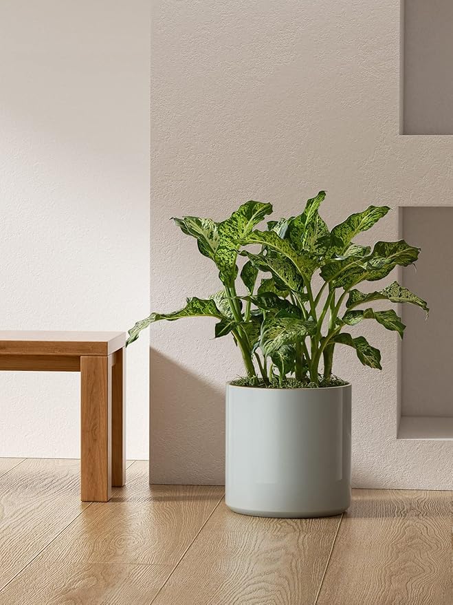LE TAUCI 12 Inch Pots for Plants, Ceramic Large Plant Pot for Indoor Plants, Mid-Century Modern Flower Planter Pots with Drainage Hole and Removable Plug, Round Planter Pot, Reactive Glaze Blue Gray-Ruum Studio Home