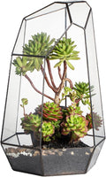 NCYP Large Geometric Terrarium - 16 Inches Tall Irregular Open Glass Terrarium Pot - Home Garden Tabletop Decoration Planter for Air Plants Succulents, Handmade (NO Plants, No Door)-Ruum Studio Home