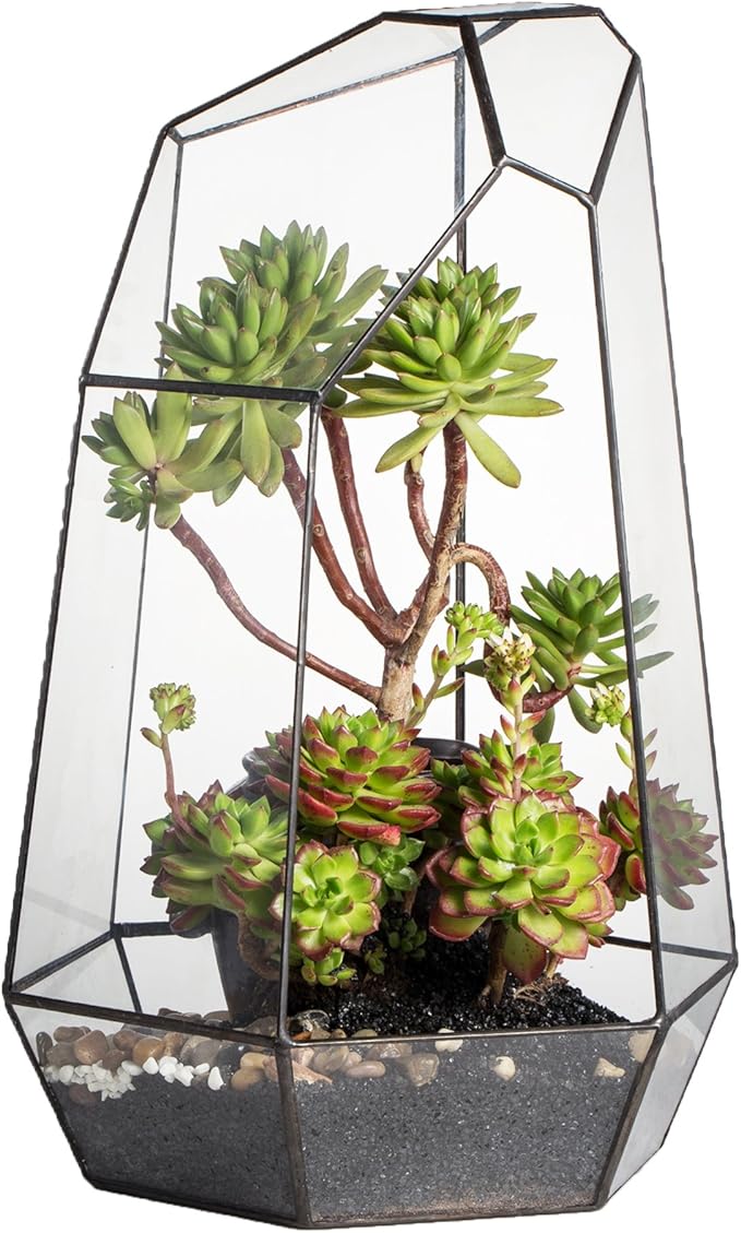 NCYP Large Geometric Terrarium - 16 Inches Tall Irregular Open Glass Terrarium Pot - Home Garden Tabletop Decoration Planter for Air Plants Succulents, Handmade (NO Plants, No Door)-Ruum Studio Home