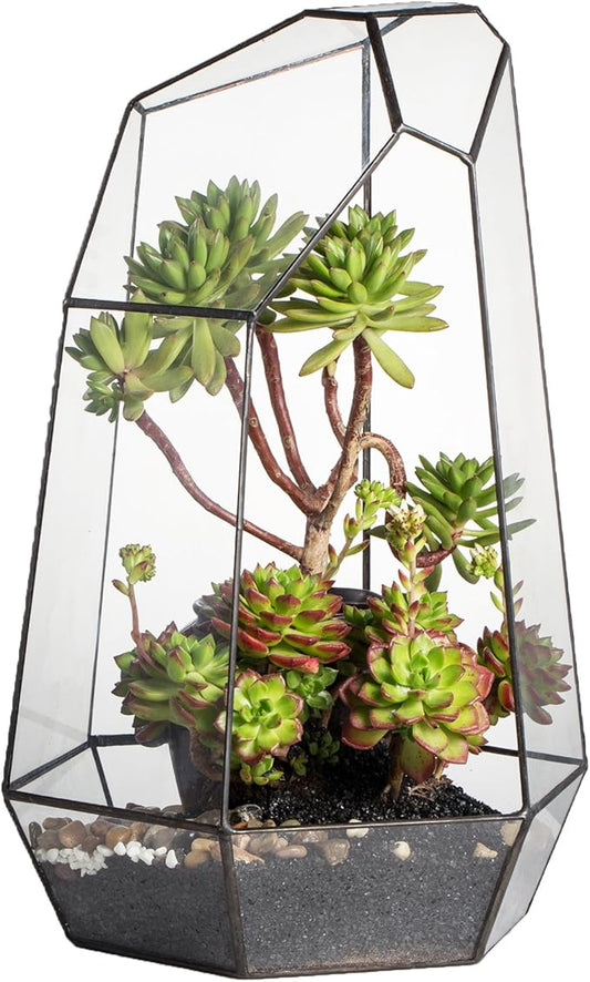 NCYP Large Geometric Terrarium - 16 Inches Tall Irregular Open Glass Terrarium Pot - Home Garden Tabletop Decoration Planter for Air Plants Succulents, Handmade (NO Plants, No Door)-Ruum Studio Home