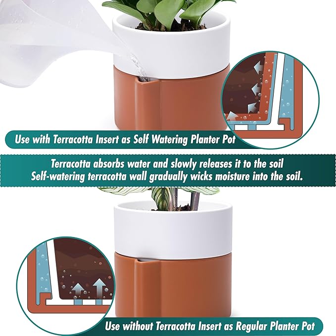 6.5 Inch Self-Watering Planter Pot with Terracotta Insert, Deep Water Reservoir, and Ceramic-Alike BPA-Free Plastic Pot for Plant, Modern Planter for Houseplants, Terracotta/White, 53-B-S-6-Ruum Studio Home