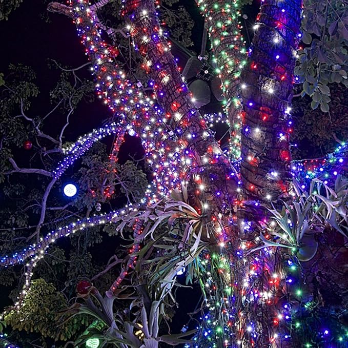 HOME LIGHTING 200 LED 66FT Fairy String Lights, July 4th Patriotic Light with 8 Lighting Modes, Mini Lights Plug in for Indoor Outdoor Independence Day Tree Holiday Party Decor, Red Blue & White-Ruum Studio Home