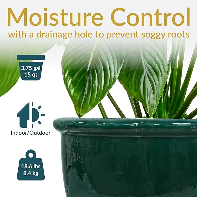 Sunnydaze Chalet Large Ceramic Plant Pot - Round Outdoor Glazed Ceramic Planter Pot with Drainage - Dark Green - 14.5"-Ruum Studio Home