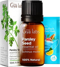 Gya Labs Parsley Essential Oil for Skin - 0.34 Fl Oz - 100% Pure Natural Parsley Oil for Diffuser, Hair & Candle Making Scent-Ruum Studio Home