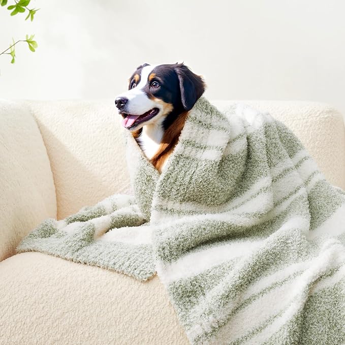 Snuggle Sac Stripe Sage Green Throw Blanket for Couch, Super Soft Warm Blankets Cozy Knit Fuzzy Plush Lightweight Throws for Sofa, Bed,Living Room, Stripe Green, 50x60 inches-Ruum Studio Home