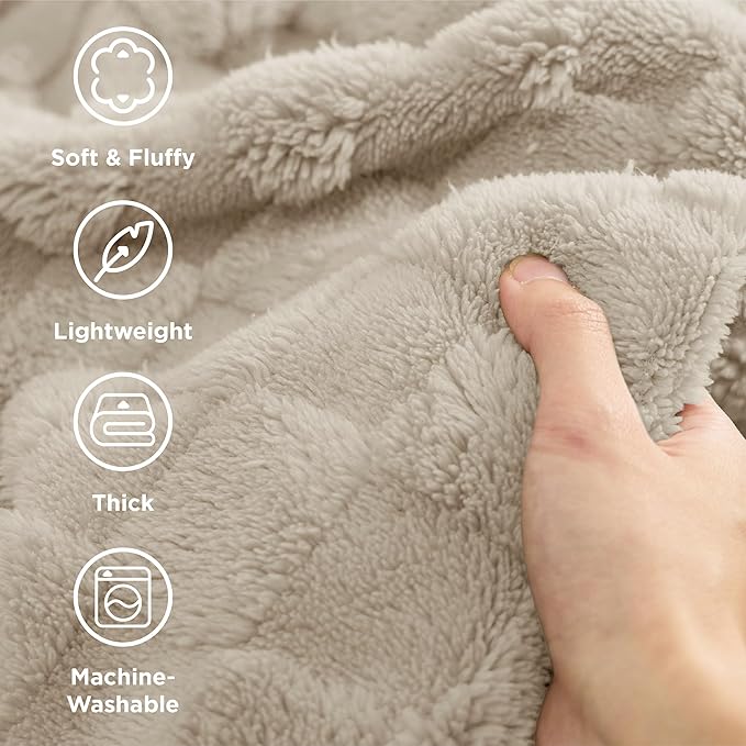 Bedsure GentleSoft Blankets Queen Size for Bed - Super Soft Cozy Blanket for Women Men Girls, Large Fuzzy Fleece Throw for Bedroom Decor, Light Brown, 90x90 Inches-Ruum Studio Home