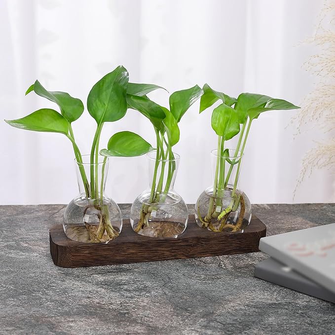 YIBOT Propagation Stations,Plant Propagation Vase,Desk Plant Terrarium with Retro Wooden Stand,Plant Lover Gifts for Women for Hydroponics Plants Home Garden Wedding Decor(3 Vase)-Ruum Studio Home