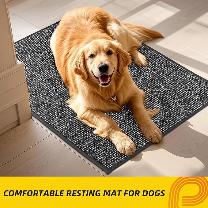 JSEI Dirt Trapper Door Mat 24"x36" Non-Slip Washable Entrance Mat, Dog Doormats, Absorbent & Fade-Resistant Floor Mats, Low Profile Welcome Mats for Entryway, Front Door, and Inside Entrance,Dark Grey-Ruum Studio Home