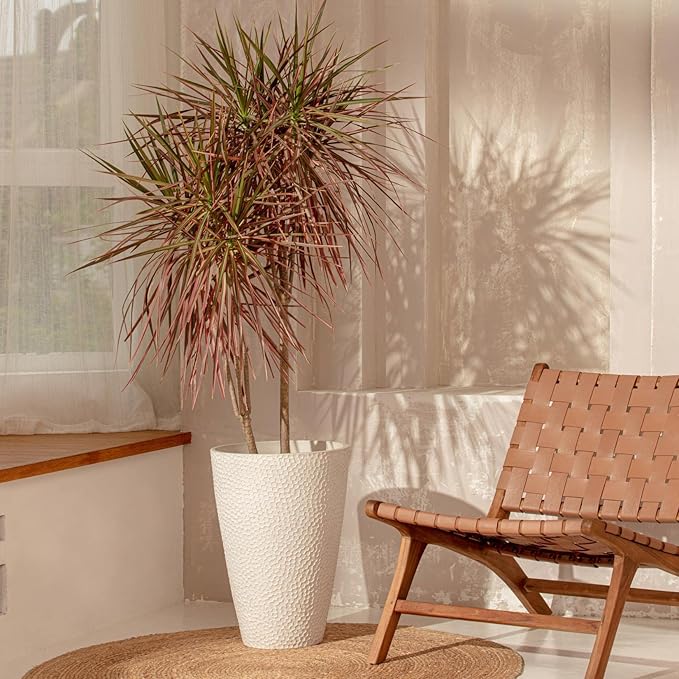 LA JOLIE MUSE 20inch Tall White Planters Set of 2,Large Tree Planters for Indoor Plants,Flower Containers for Front Porch, Honeycomb-Ruum Studio Home