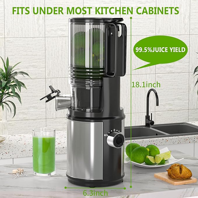 Cold Press Juicer – 6.5" Extra Large Feed Chute Fit Hands-Free Electric Masticating Juicer Machine, 350W Slow Masticating Juicer Machine for Whole Fruit and Vegetables – Easy Cleanup & Assembly-Ruum Studio Home