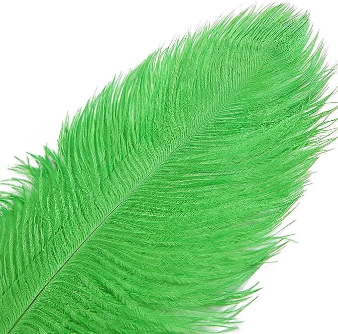 THARAHT Green Ostrich Feathers 12pcs Large Natural Bulk 12-14Inch 30cm-35cm for Wedding Party Centerpieces Mardi Gras and Home Decoration Feathers-Ruum Studio Home