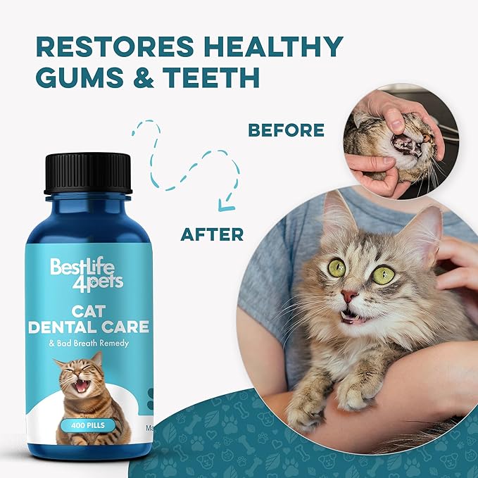 Cat Bad Breath & Oral Health Remedy, Natural Dental Care Cats Teeth, Mouth and Gums, Easy to Use Daily Supplement for Stomatitis, Gingivitis, Plaque & Tartar Control for Cats, 800 Small Pills-Ruum Studio Home