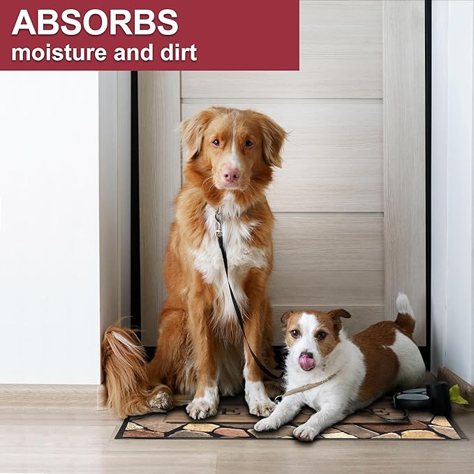 Floor Mat - for Indoor and Outdoor Use - Doormat - Non-Slip - Front Door Shoe Scraper - Size: 17x29-Ruum Studio Home