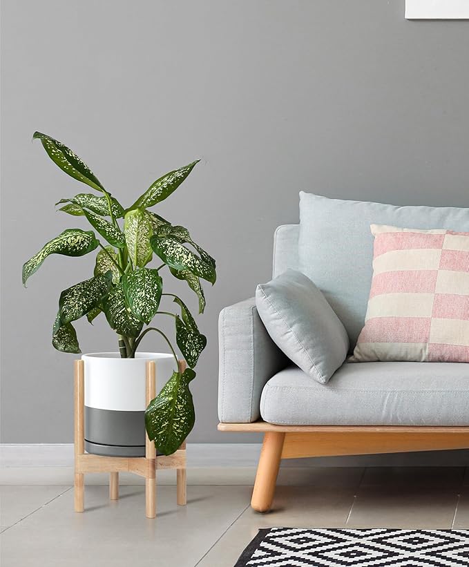 D'vine Dev Ceramic Planter with Natural Stand - 10 Inch Modern Round Flower Pot with Wood Planter Holder, White/Grey, 55-B-K-6-Ruum Studio Home