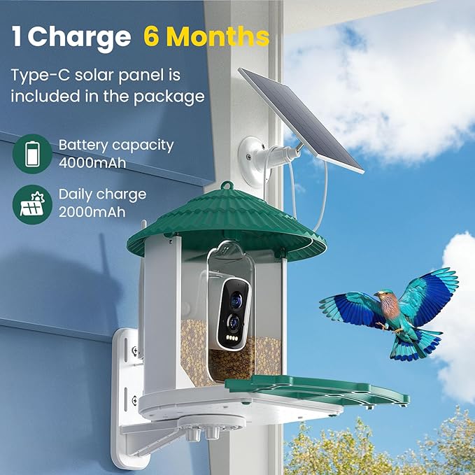Bird Feeders for Outdoors, Smart Bird Feeder with Camera Solar Powered, AI Species Identification, 3K Video Live Stream Camera, 5Mp HD Night Vision, Instant Arrival Alerts (Light Green)-Ruum Studio Home