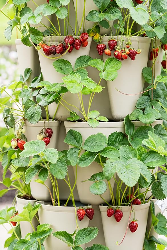 Greenstalk Patented Large 5 Tier Vertical Garden Planter with Patented Internal Watering System Great for Growing a Variety of Strawberries, Vegetables, Herbs, & Flowers (Stunning Stone)-Ruum Studio Home