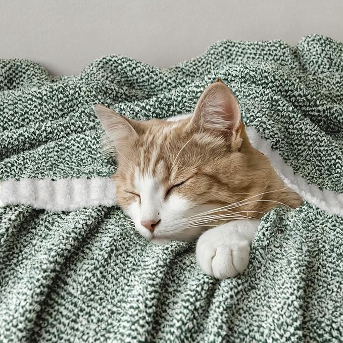 MIULEE Green Super Soft Throw Blanket for Couch, Cozy Fluffy Warm Throws Knit Blankets for Sofa, Bed, Chair, Living Room, Camping, Picnic, 50 x 70 inch-Ruum Studio Home