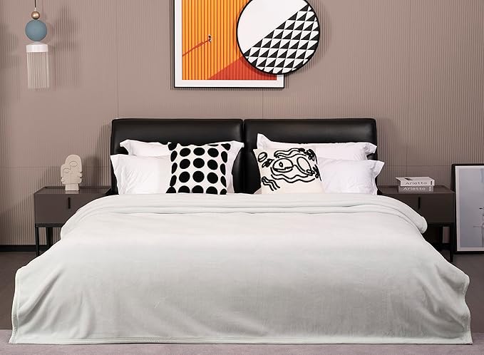 Mellowdy Extra Thick Hearty Plush Flannel Blanket (Pale Mint, 60x80) - 500GSM Twin Size Warm Blanket for Winter, Fall | Soft, Fluffy, Cuddly, Perfect for Bed, Oversized Throw for Couch, Sofa-Ruum Studio Home